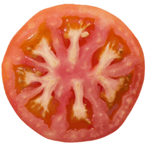 Tomato Slice